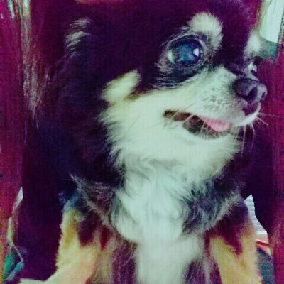 ui2q_s's profile picture. 東海大学 湘南 JD1 AAA 福士蒼汰 気軽にフォローDMしてくださいね❣️