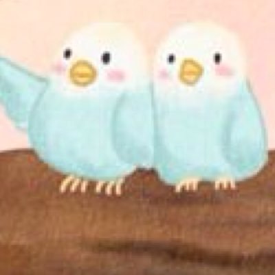 victon | seventeen | exo | got7 | NCT | bts | Gfriend | btob