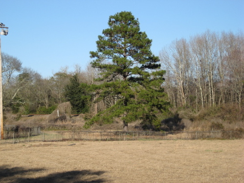 A place for discussion, opinion, and news for Kingstree and Williamsburg County, SC