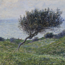 Mike Pyne - @MikePyneOnline - Twitter