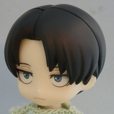 人形専用じゃ無くなってきたアカウントです。オバサンです(もう老人… ) ぼちぼち、進めていきます。1/6、SD、オビツろいど… 色々ありますが、今はオビツろいどにはまってます。無言フォローをよくします。ごめんね。最近、編み物よくしてます。進撃の巨人、刀剣乱舞にはまってます…