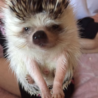 vivienne24110's profile picture. 