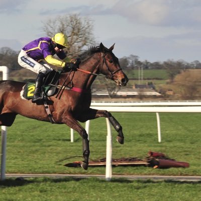 Welcome to Tipsterr Racing, offering you fully researched tips free daily!
