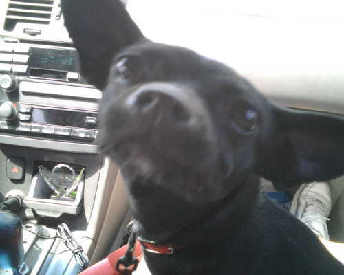 mix1jess's profile picture. 