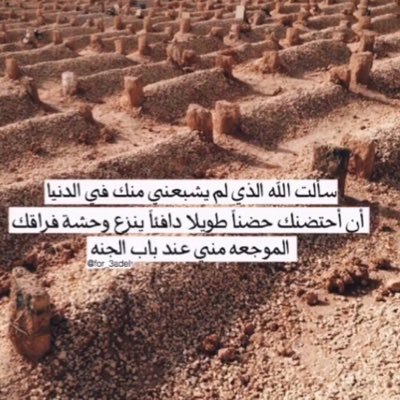 f_r_12's profile picture. لا وجـٌع كِـفقد روح لـن تراهـا مهمـا بكيـَت🍂