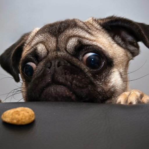 TS_Rift's profile picture. 