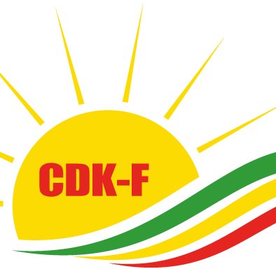 Conseil Démocratique Kurde en France