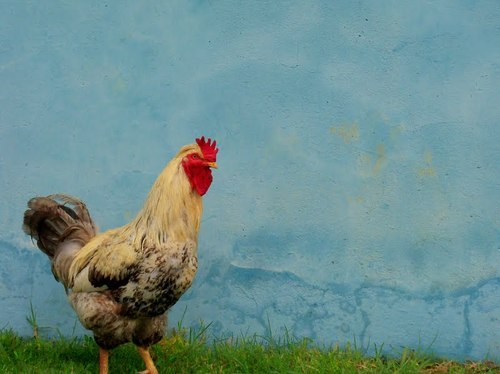 LaPegre's profile picture. 