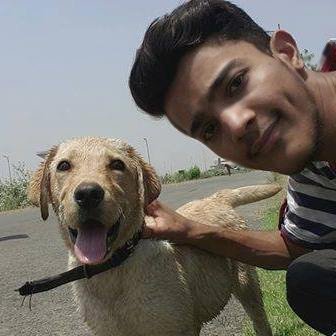 IshtiaqUns's profile picture. 