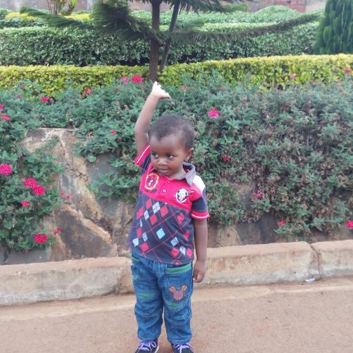 brayonesh's profile picture. 