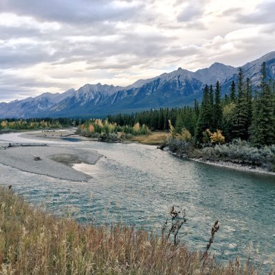 Doreenique's profile picture. Active and alert