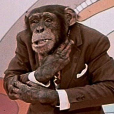 SenBobForehead's profile picture. 