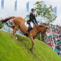 William Whitaker (@will_whit89) 's Twitter Profile