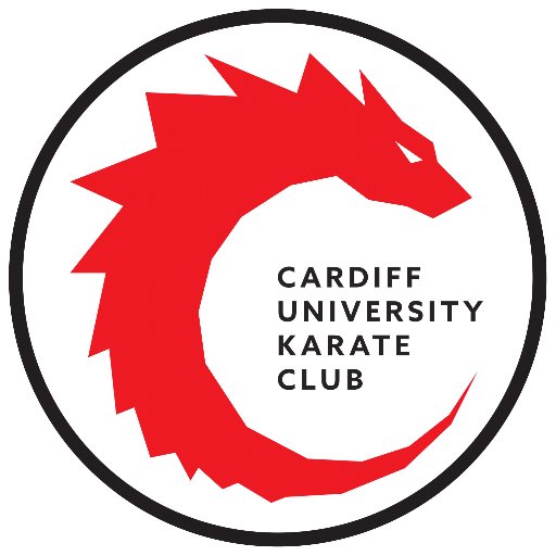 Training times: TUESDAYS 8:30-10pm THURSDAYS 7-8:30pm SATURDAYS 2-4:00pm. Open to all styles, beginner to black belt - feel free to @ or DM us any questions!