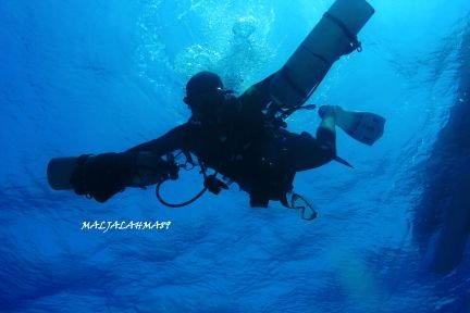 🇧🇭Bahrain+973 37292777 🐳PADI Digital underwater photography instructor 🐬Scuba Life 5 Star Diving Center  📸 All pictures taken by me📸 📸canon 550d