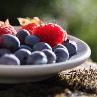 The Fit Club_diet (@feedyourfree) 's Twitter Profile
