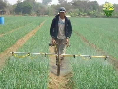 RuparelKirit's profile picture. Keep peace..