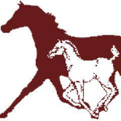 Equine Reproductive Schools & Services: Specializing in delivering hands-on education for horse breeders.