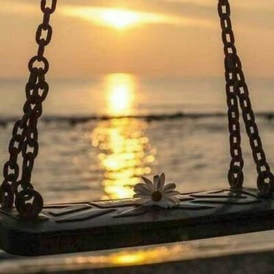 AhlamAhmed_y's profile picture. 