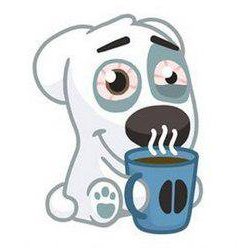 TqAqR2J1rGaR2mP's profile picture. 