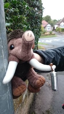 Mammoth of a nervous disposition. Retired Girlguiding Senior Section mascot. Often perplexed by her housemate Blueberry Bear.