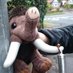 Milly the Mammoth (@redditchmammoth) Twitter profile photo Milly the Mammoth (@redditchmammoth) Twitter profile photo