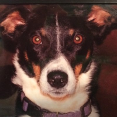 TiceColton's profile picture. no longer active