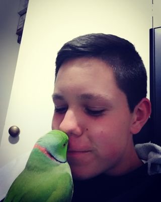 SpartanSteph1's profile picture. I GAME ON YOUTUBE Spartan Steph 1 GAMING.Check out some of my modding and trolling videos.https://t.co/NCYaovPmFy
 if you follow me I'll follow you bros.