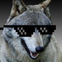 Lacunic (@_lacunic) 's Twitter Profile