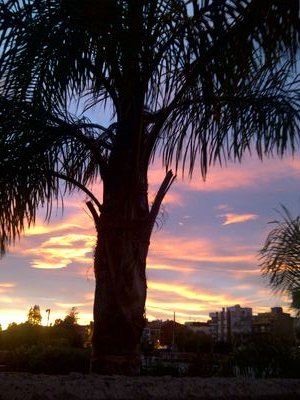 Sentido común en fiesta y ocio, con respeto y descanso para todos. Gracias por tu interés en Benicassim, mejorar sus ventajas y eliminar sus invonvenientes.