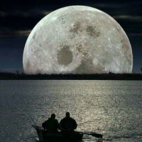 لودشي (@cruise_025) Twitter profile photo