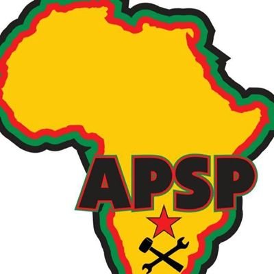 Official account of The African People's Socialist Party.