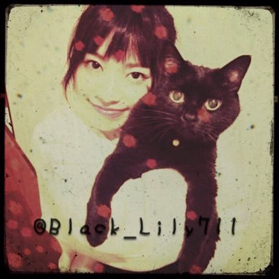 96猫 Miwa垢 Black Lily711 Twitter