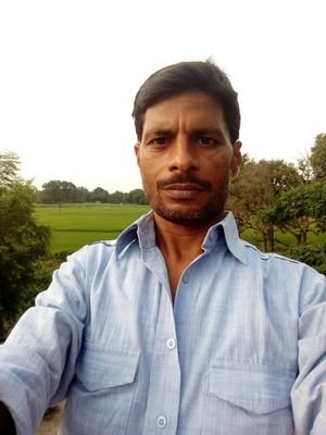 AnilKum60905281's profile picture. 