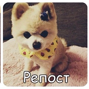 Arhivarium's profile picture. Делюсь интересностями)