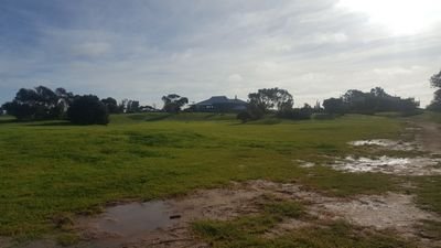 Chelaby88's profile picture. 