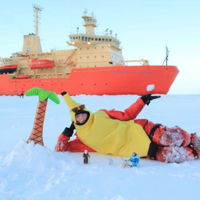 Bio Oceanography | Antarctic phytoplankton | PhD @scripps_ocean | co-founder @fjordphyto CitSci | Polar Guide | Sci Diver | Explorer | She/Her