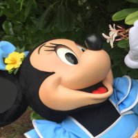 Sae (@disneysae12) 's Twitter Profile