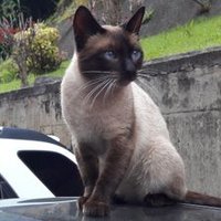 Rafael González (@rafbe90) 's Twitter Profile