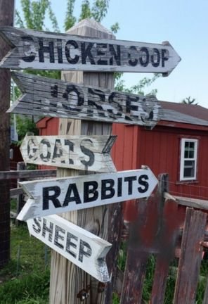 FarmInParma's profile picture. Non profit, all volunteer run educational working farm in the city of Parma, Oh.   Open 12-4 sat and sun to  visit and purchase feed for the animals.