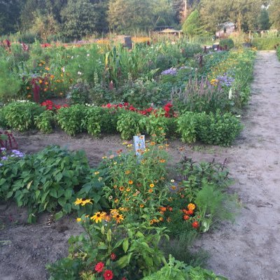 marest's profile picture. 