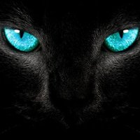 Mark Westwell (@markwestwell69) 's Twitter Profile