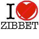 zibbettruth's profile picture. I'm just somebody asking questions.