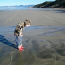 Peter Schuldt - @psschuldt - Twitter