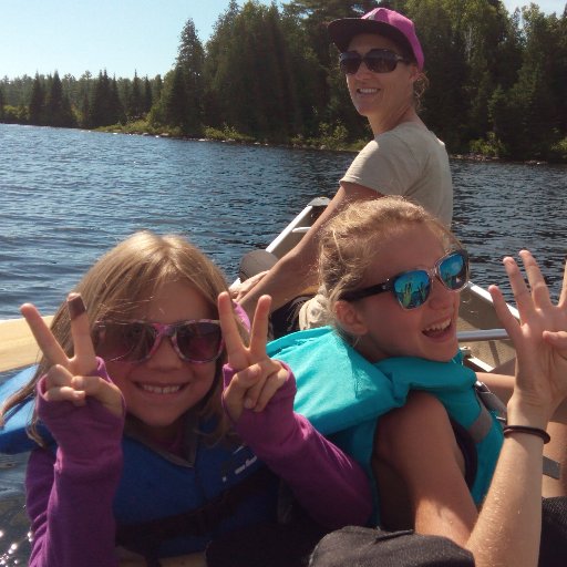 llamapoo's profile picture. Human Factors in Command and Control applications - it's what I do.