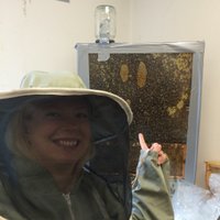 Phoebe Bazzard (@bazzardbees) 's Twitter Profile