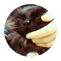 KANA (@kknn_023) 's Twitter Profile