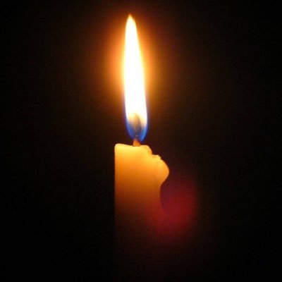 globalmatrix100's profile picture. 