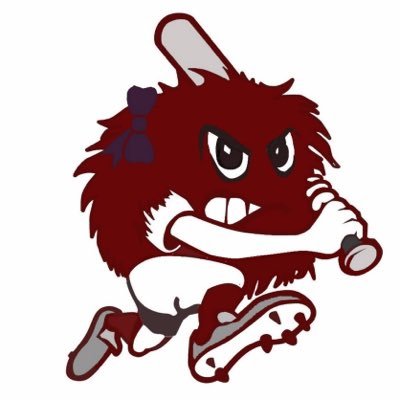 MaroonSoftball's profile picture. 