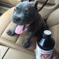 Kross Gordon (@guwop_gordz) Twitter profile photo
